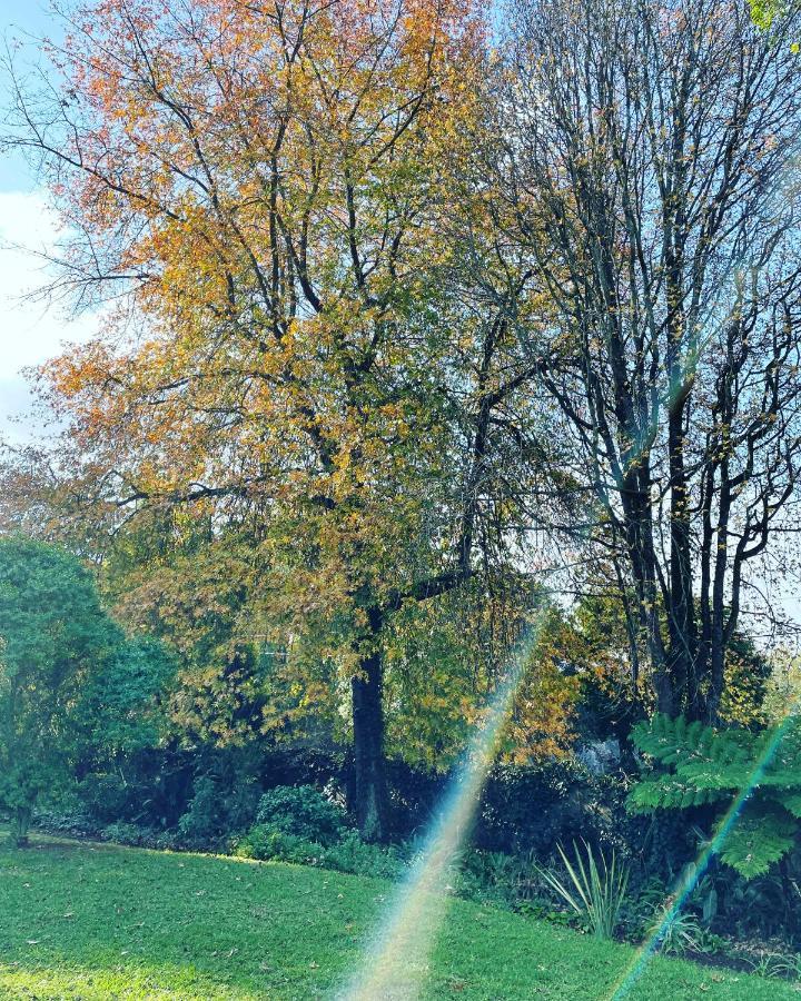 Clarendon Manor And Cottages Howick Buitenkant foto